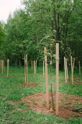 Piquet bois pin carré traité autoclave classe 4 - 30 x 30 x 1500 mm - DEBARGE