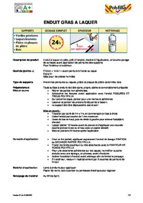 Enduit gras à laquer en pâte 800 gr POLYFILLA
