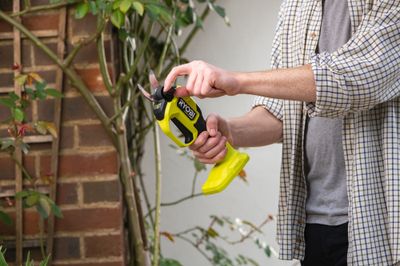 Sécateur sans fil sans batterie 18 V Brushless One+ HP RY18SCXA-0 RYOBI