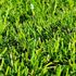 Gazon synthétique Gruissan 35 mm 1 m x 3 m AG'CO