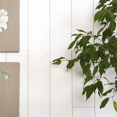 Lambris sapin brut blanc choix AB  - 12 x 135 x 2050 mm - PROTAC