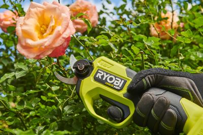 Sécateur à batterie 18 V BRUSHLESS RYOBI