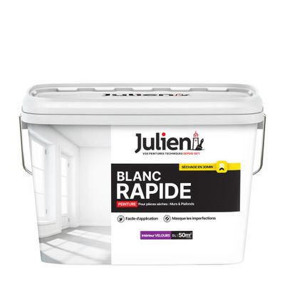 Peinture acrylique Rapide blanc W velours 5 L - JULIEN