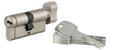 Cylindre de serrure à bouton 30 x 30 mm Transit 1 haute sécurité nickelé 5 clés THIRARD