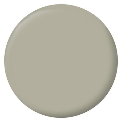 Peinture murs, boiseries et radiateurs vert bourrache mat 2,5 L - RIPOLIN