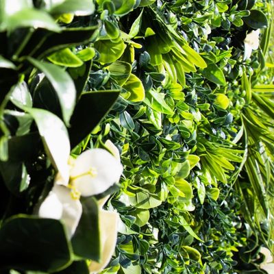 Mur végétal artificiel liseron 1m x 1m AG'CO