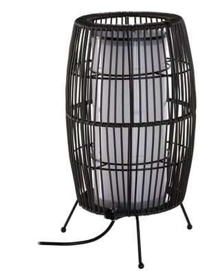 Lanterne lumineuse extérieur LED Link+Light noir IP44 70 lumens blanc chaud - PAULMANN