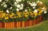 Bordure de jardin verticale pin traité autoclave - 46 x 200 x 1800 mm - DEBARGE