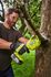 Elagueur à main à batterie 18 V guide 15 cm RY18PSA-0 RYOBI