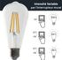 Ampoule LED EDISON filament clairs 6W 900 lumens dimmable blanc chaud - ARLUX