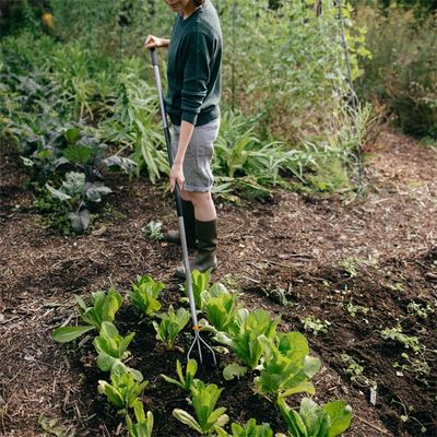 Cultivateur 3 dents manche courbé Ergonomic
