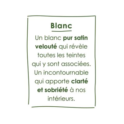 Peinture O'PUR Blanc 75 mL - RIPOLIN