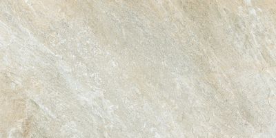 Carrelage de sol extérieur beige CLUNY ép 8,20 mm 30 x 60 cm paquet de 1.45 m²