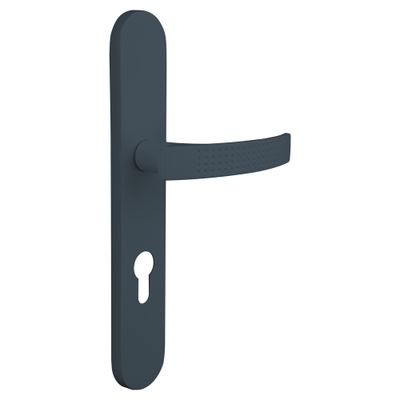 Poignées de porte Ibiza gris à cylindre ALPERTEC