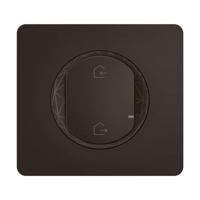 Commande générale connectée sans fil départ/arrivée + plaque Noir - Céliane with Netatmo LEGRAND