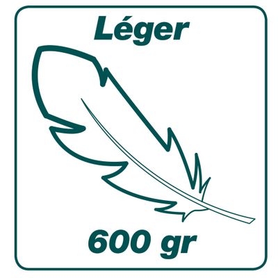 Balai à gazon XL fil plat 27 dents manche bois LEBORGNE