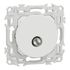 Prise antenne TV murale Odace 2025 blanc - SCHNEIDER ELECTRIC
