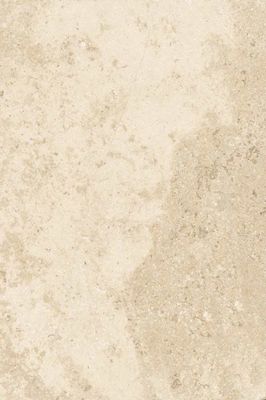 Carrelage de sol extérieur beige bord naturel 40 x 60 cm paquet de 1,2 m² HERBERIA