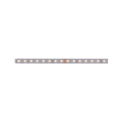 Ruban LED 24V extension d'1m blanc chaud dimmable - MaxLED500 PAULMANN