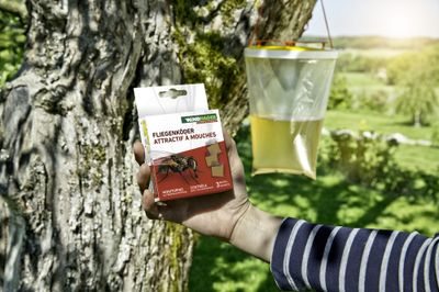 Attractif pour piège à mouches à diluer en sachet par 3 WINDHAGER