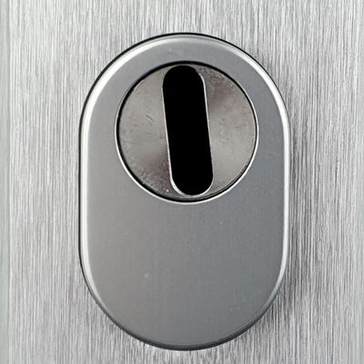 Poignées de porte sur plaques à cylindre sécurité Odin argent ALPERTEC