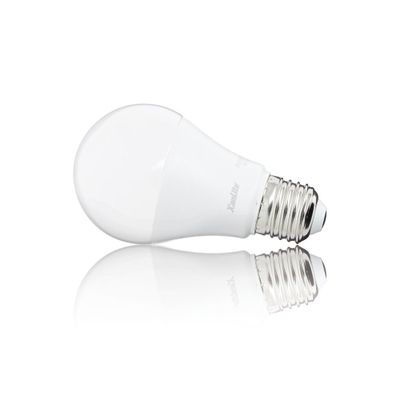 Ampoules LED SMD E27 opaque 9W = 806 lumens blanc chaud par 5 - XANLITE