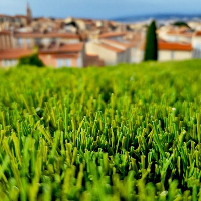 Gazon synthétique Omalley 44 mm 2 x 3 m AG'CO