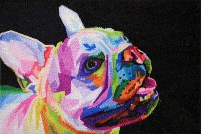Tapis Dallas bulldog 40 x 60 cm - ID HOME