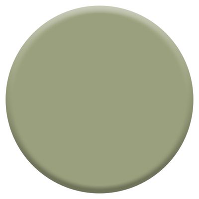 Peinture crème de couleur Gentil Cactus satin 2,25L - DULUX VALENTINE