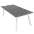 Table de jardin à rallonge PERCE-NEIGE aluminium gris/blanc 216/297x100 cm