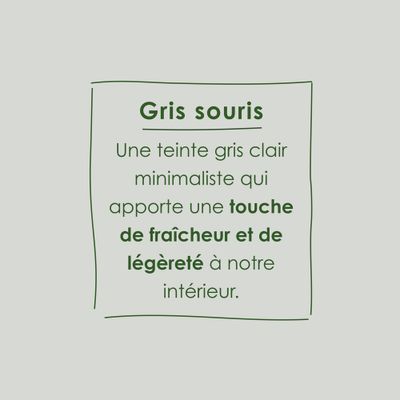 Peinture O'PUR Gris Souris 75 mL - RIPOLIN