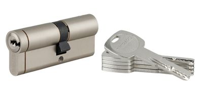Cylindre de serrure double entrée 35 x 45 mm Transit 1 haute sécurité nickelé 5 clés THIRARD