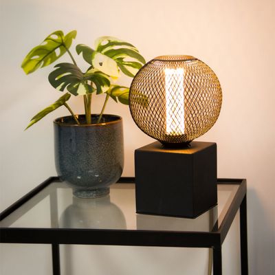 Ampoule LED hologramme motif cage coloris noir et cuivre 4 W = 150 Lumens blanc chaud - XANLITE