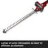 Taille-haie à batterie 18 V lame 55 cm GC-CH18/55Li EINHELL