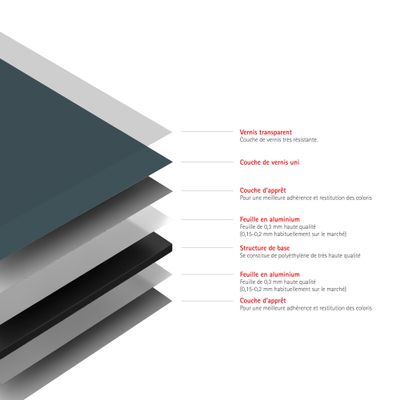 Panneaux muraux de douche 90+90x255 cm anthracite DécoDesign Couleur - SCHULTE