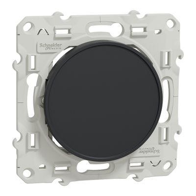 Obturateur de prise et dérivation anthracite - Odace 2011 SCHNEIDER ELECTRIC