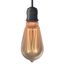 Ampoule LED ST64 Hologramme Edison verre ambré 4 W = 200 Lumens blanc chaud XANLITE