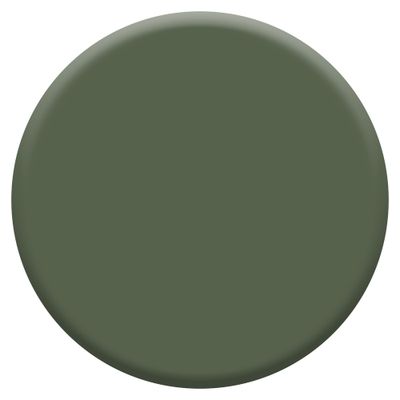 Peinture Crème De Couleur Mat Vert Tropical 2,5 L - DULUX VALENTINE
