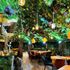 Mur végétal artificiel jungle 1m x 1m AG'CO