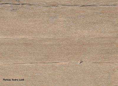 Table de jardin rectangulaire Vita en aluminium 180/280x100x77 cm PROLOISIRS