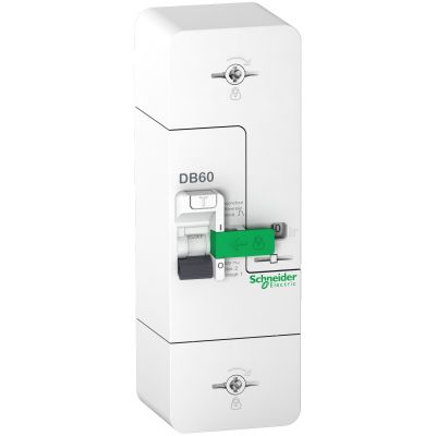 Disjoncteur de branchement AGCP 60A 500 mA - Rési9 SCHNEIDER ELECTRIC