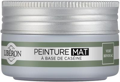 Peinture meuble bois à la caséine mat vert bivouac 75 ml  LIBERON