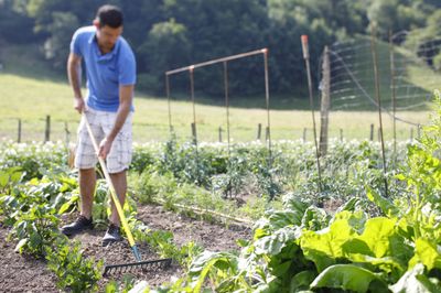 Râteau 14 dents rondes manche bois LEBORGNE