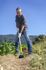 Houe standard 14 cm manche bois LEBORGNE