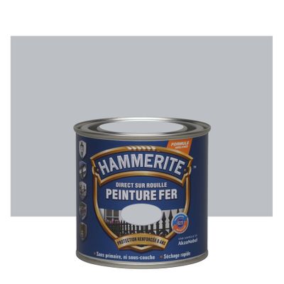 Peinture fer extérieur direct sur rouille lisse brillant argent 250 mL - HAMMERITE