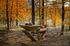 Brasero de cuisson G5 corten avec plaque plancha, grille et couvercle de protection ARTISS
