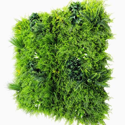 Mur végétal artificiel fougère 1m x 1m AG'CO