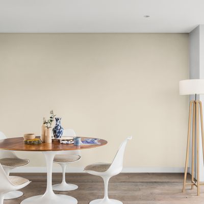 Peinture Color Resist murs et boiseries Galet Clair mat 0,5 L - DULUX VALENTINE