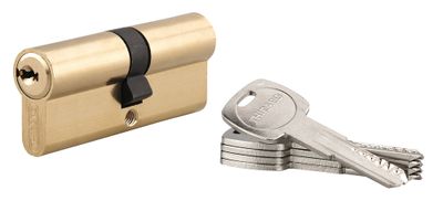 Cylindre de serrure double entrée 40 x 40 mm Trafic 6 haute sécurité laiton 5 clés THIRARD