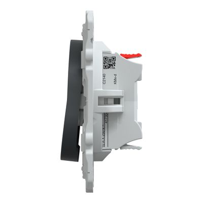 Interrupteur volet roulant 2 boutons anthracite - Ovalis SCHNEIDER ELECTRIC